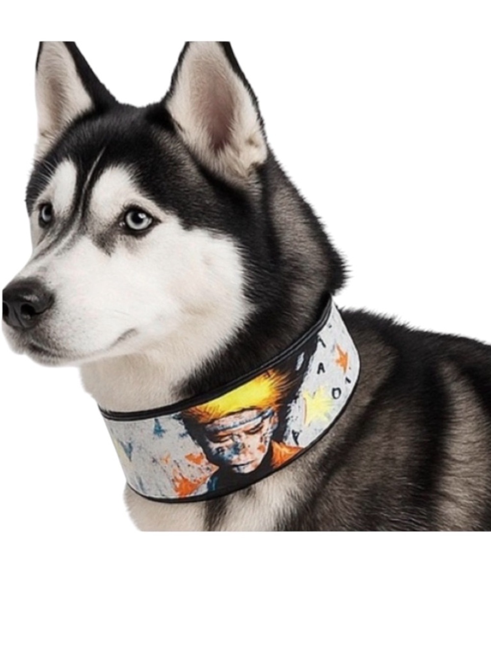 Naruto limited edition Mad Cow genuine leather dog collar orange white handmade